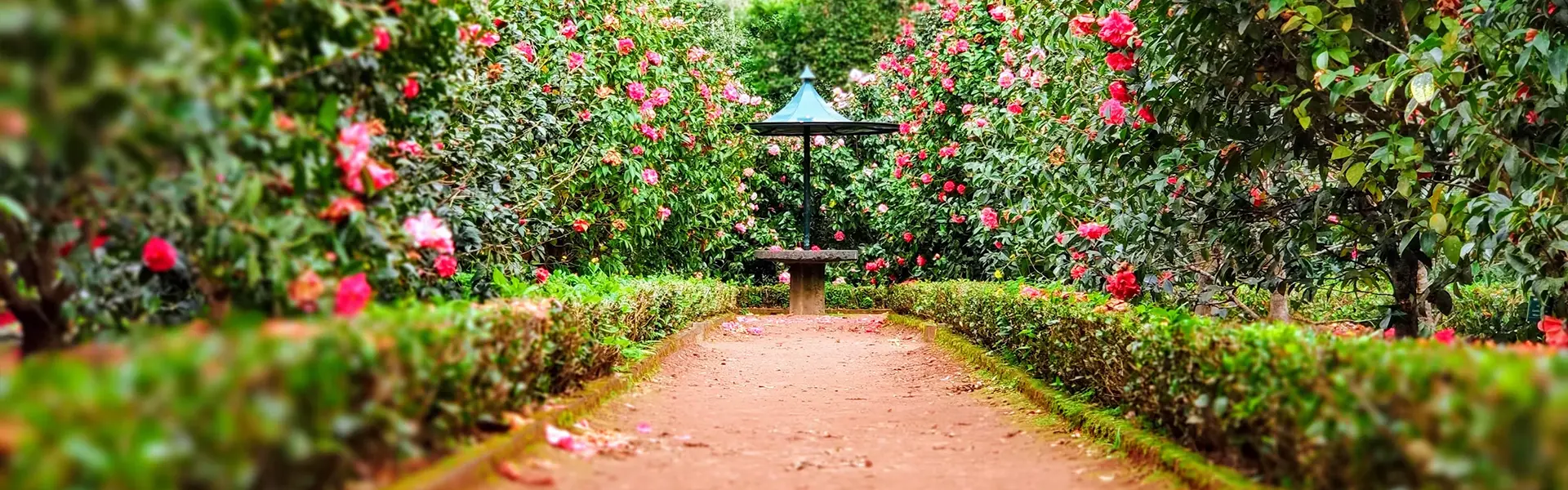 আমাদের সাথে যোগাযোগ করুন
