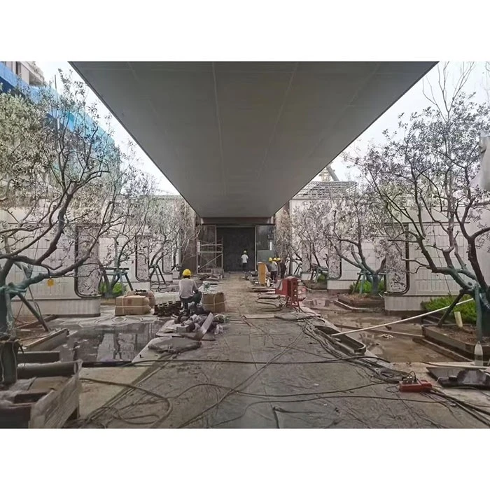 রাস্তার জলপাই গাছ
